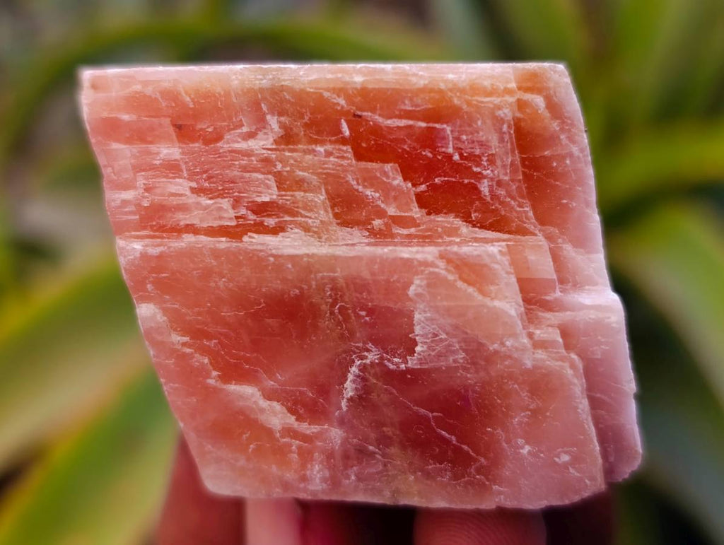 Natural Sunset Orange Calcite Specimens x 40 From Spitzkop, Namibia - Toprock Gemstones and Minerals 