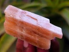 Natural Sunset Orange Calcite Specimens x 40 From Spitzkop, Namibia - Toprock Gemstones and Minerals 