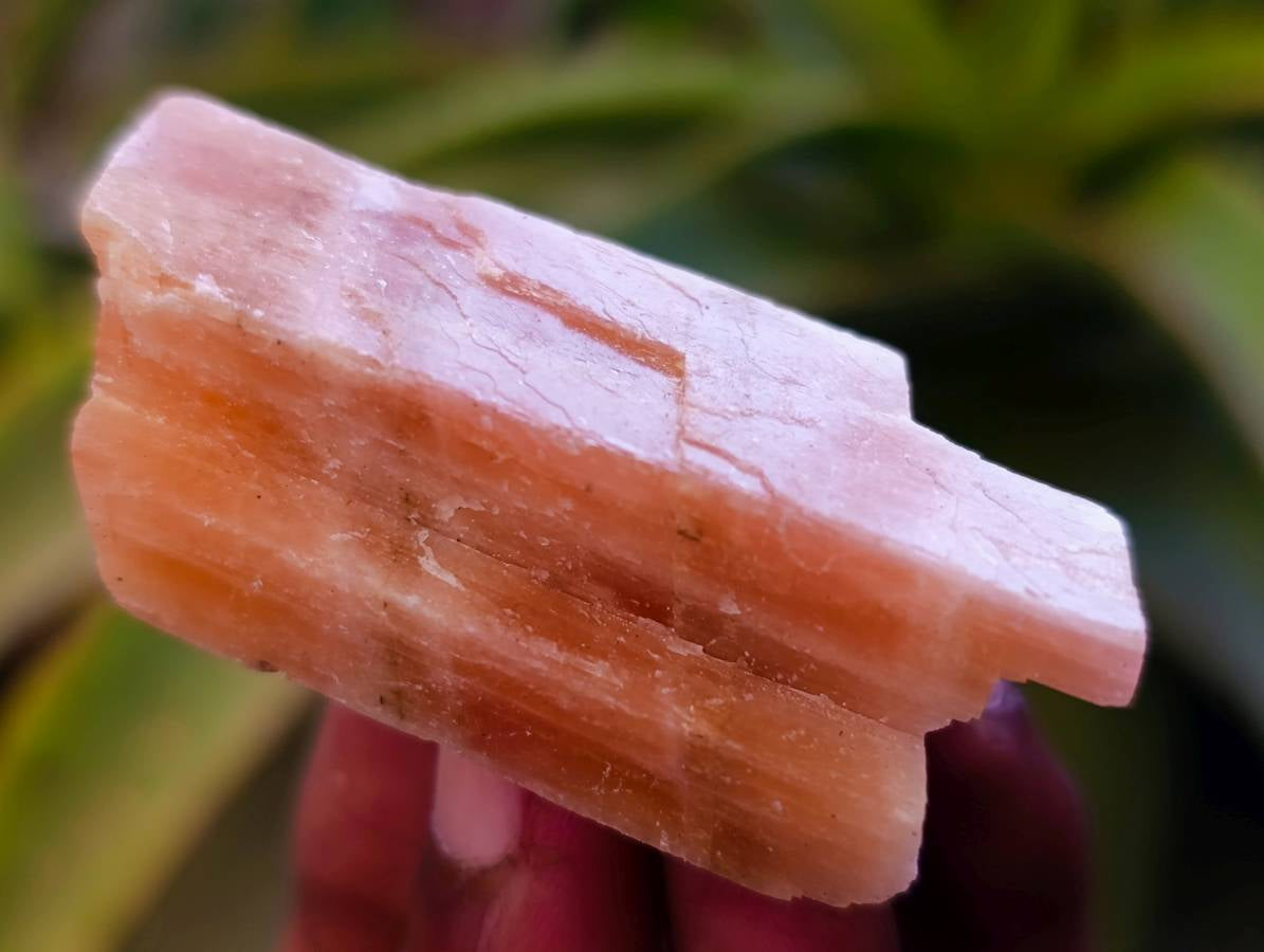 Natural Sunset Orange Calcite Specimens x 40 From Spitzkop, Namibia - Toprock Gemstones and Minerals 