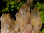 Natural Phantom Smokey Quartz Clusters x 2 From Luena, Congo - Toprock Gemstones and Minerals 