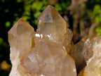 Natural Phantom Smokey Quartz Clusters x 2 From Luena, Congo - Toprock Gemstones and Minerals 