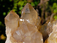 Natural Phantom Smokey Quartz Clusters x 2 From Luena, Congo