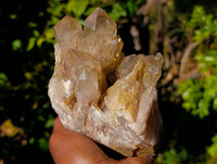 Natural Phantom Smokey Quartz Clusters x 2 From Luena, Congo