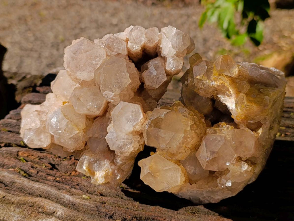 Natural Phantom Smokey Quartz Clusters x 2 From Luena, Congo - Toprock Gemstones and Minerals 