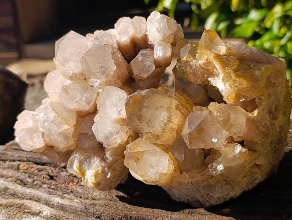 Natural Phantom Smokey Quartz Clusters x 2 From Luena, Congo - Toprock Gemstones and Minerals 