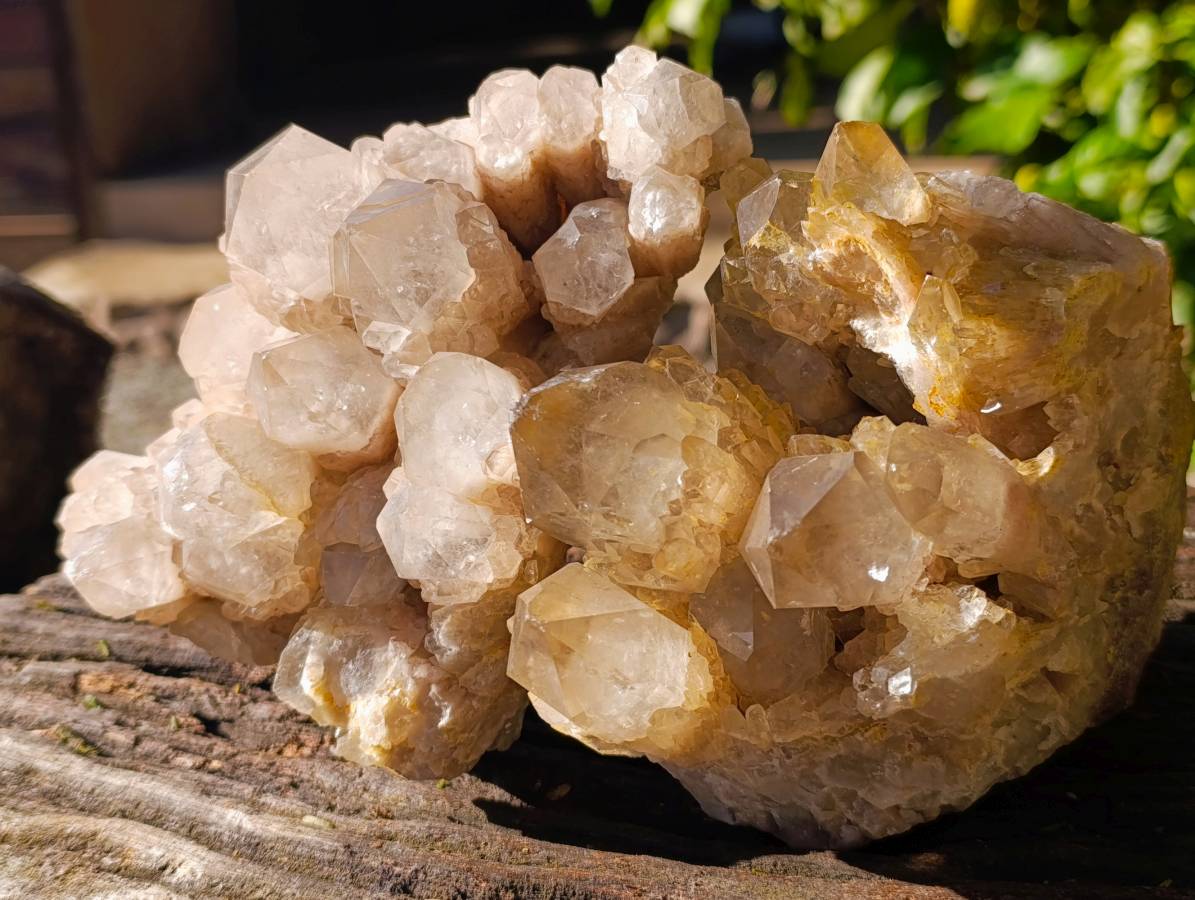 Natural Phantom Smokey Quartz Clusters x 2 From Luena, Congo - Toprock Gemstones and Minerals 