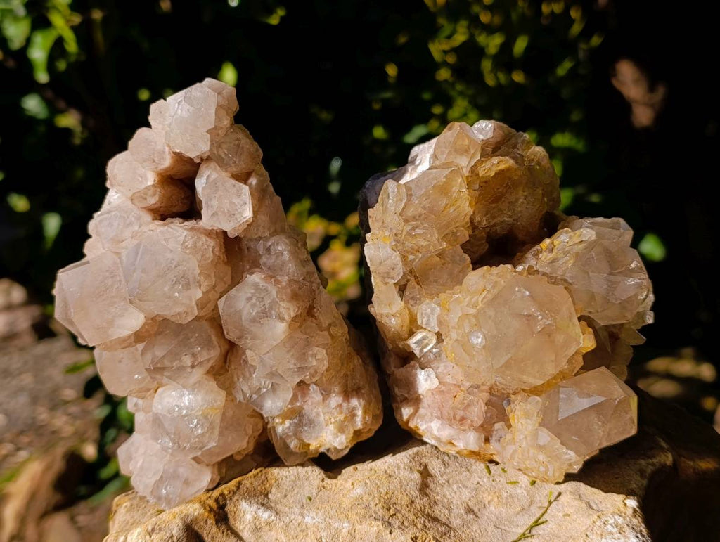 Natural Phantom Smokey Quartz Clusters x 2 From Luena, Congo - Toprock Gemstones and Minerals 
