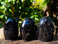 Polished Black Tourmaline Standing Free Forms x 5 From Madagascar - Toprock Gemstones and Minerals 