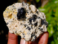 Natural Mixed Selection Of Minerals x 12 From Namibia