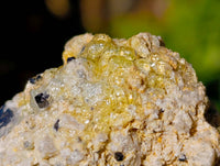 Natural Mixed Selection Of Minerals x 12 From Namibia