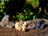 Natural Mixed Selection Of Minerals x 12 From Namibia