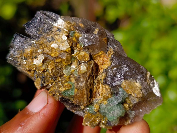 Natural Mixed Selection Of Minerals x 12 From Namibia