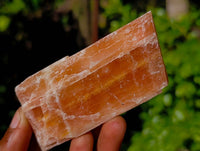 Natural Mixed Selection Of Minerals x 12 From Namibia