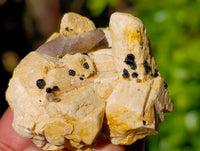 Natural Mixed Selection Of Minerals x 12 From Namibia