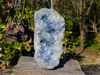 Natural Celestite Geode Specimen x 1 From Sakoany, Madagascar - Toprock Gemstones and Minerals 
