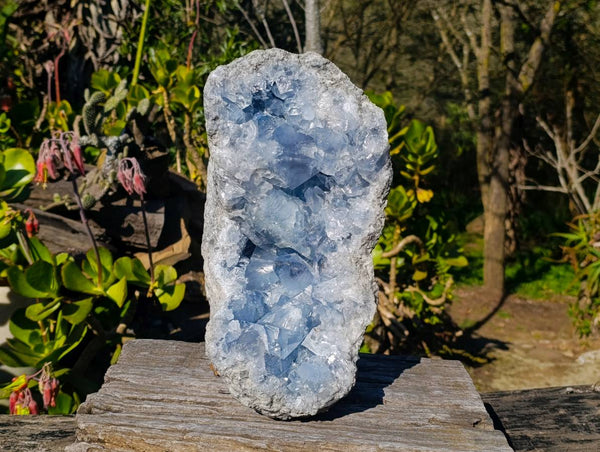 Natural Celestite Geode Specimen x 1 From Sakoany, Madagascar