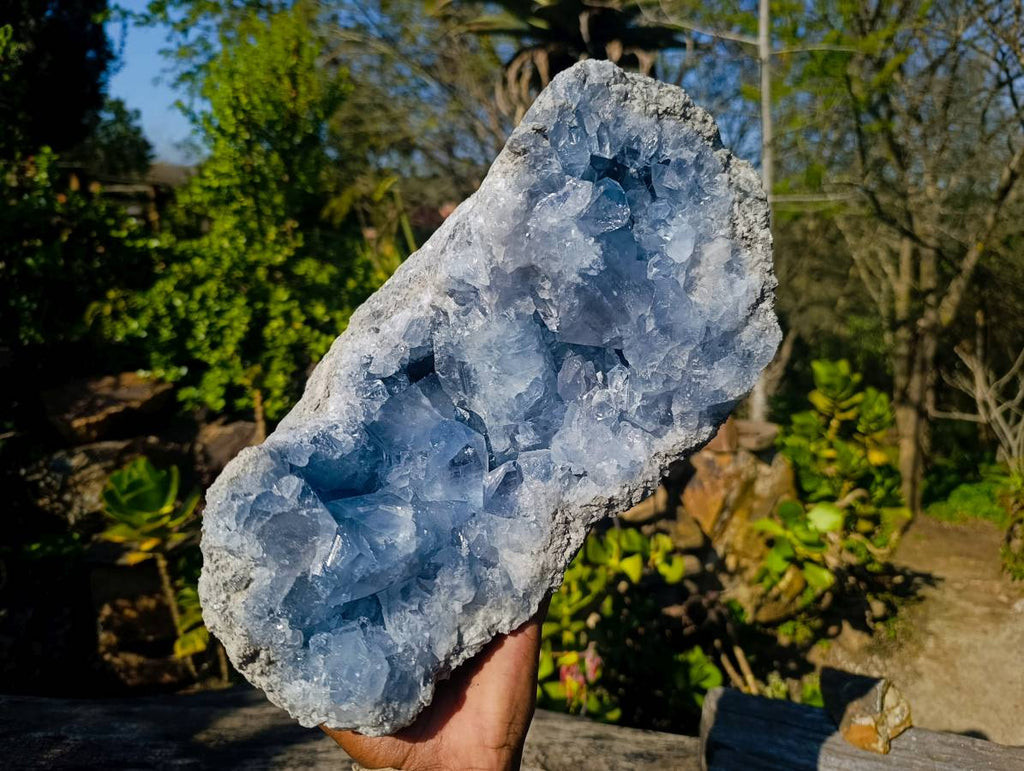 Natural Celestite Geode Specimen x 1 From Sakoany, Madagascar - Toprock Gemstones and Minerals 
