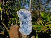 Natural Celestite Geode Specimen x 1 From Sakoany, Madagascar