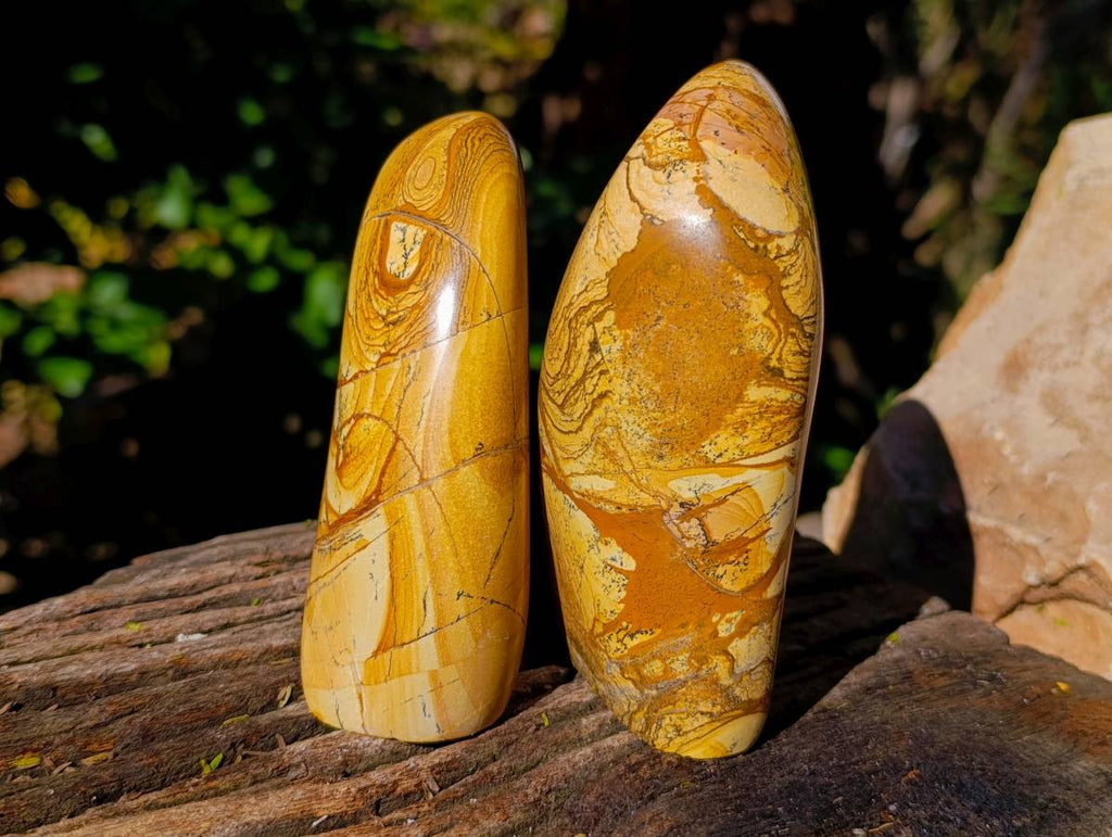 Polished Picture Stone Jasper Standing Free Forms x 2 From Ais-Ais, Namibia - Toprock Gemstones and Minerals 