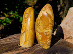 Polished Picture Stone Jasper Standing Free Forms x 2 From Ais-Ais, Namibia - Toprock Gemstones and Minerals 