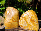 Polished Picture Stone Jasper Standing Free Forms x 2 From Ais-Ais, Namibia - Toprock Gemstones and Minerals 
