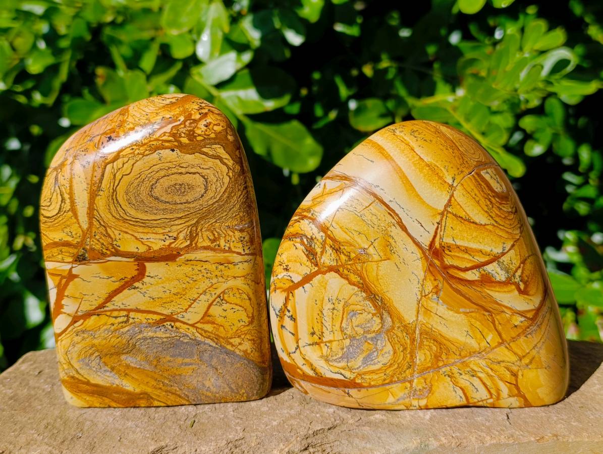 Polished Picture Stone Jasper Standing Free Forms x 2 From Ais-Ais, Namibia - Toprock Gemstones and Minerals 