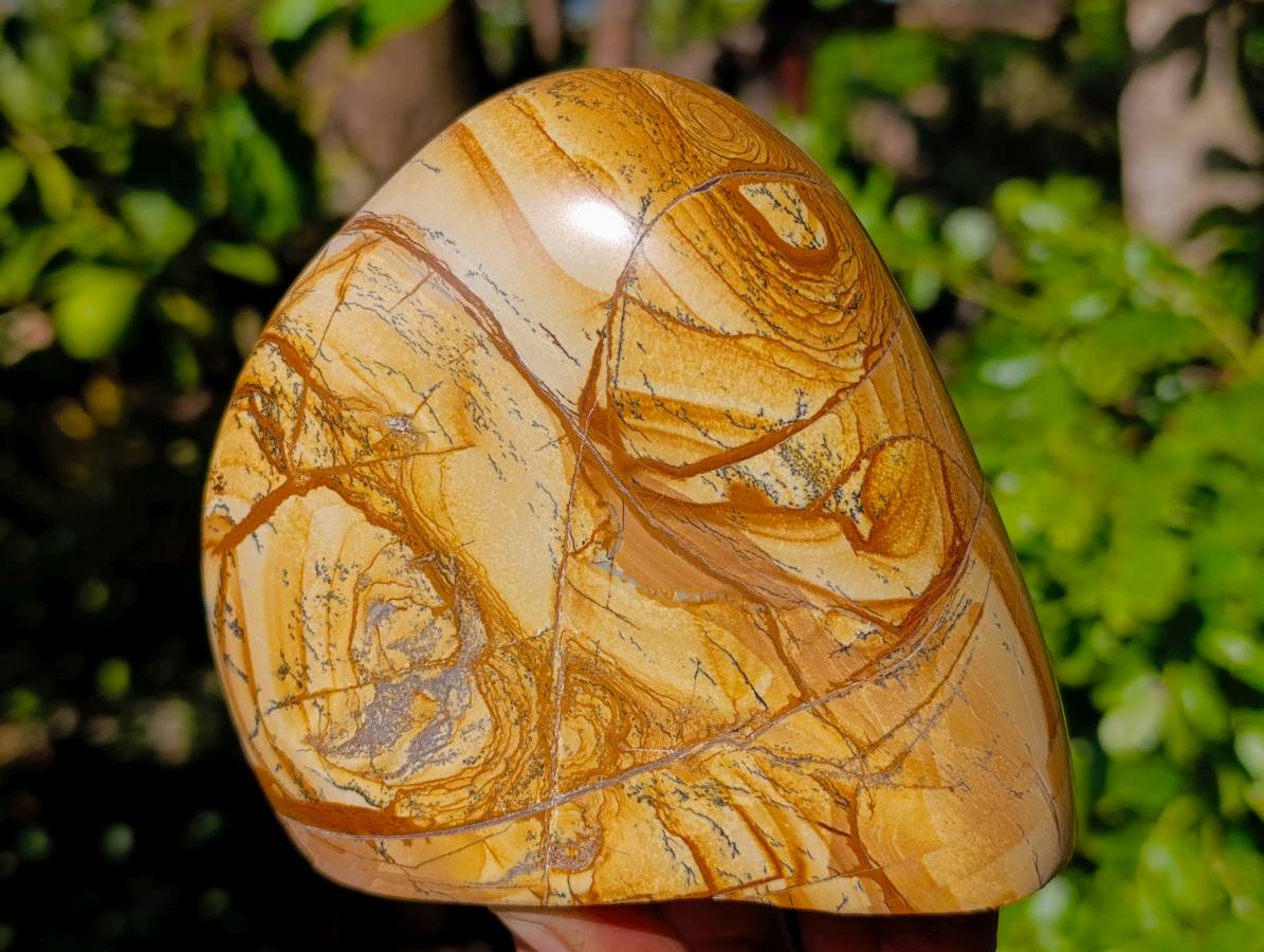 Polished Picture Stone Jasper Standing Free Forms x 2 From Ais-Ais, Namibia - Toprock Gemstones and Minerals 