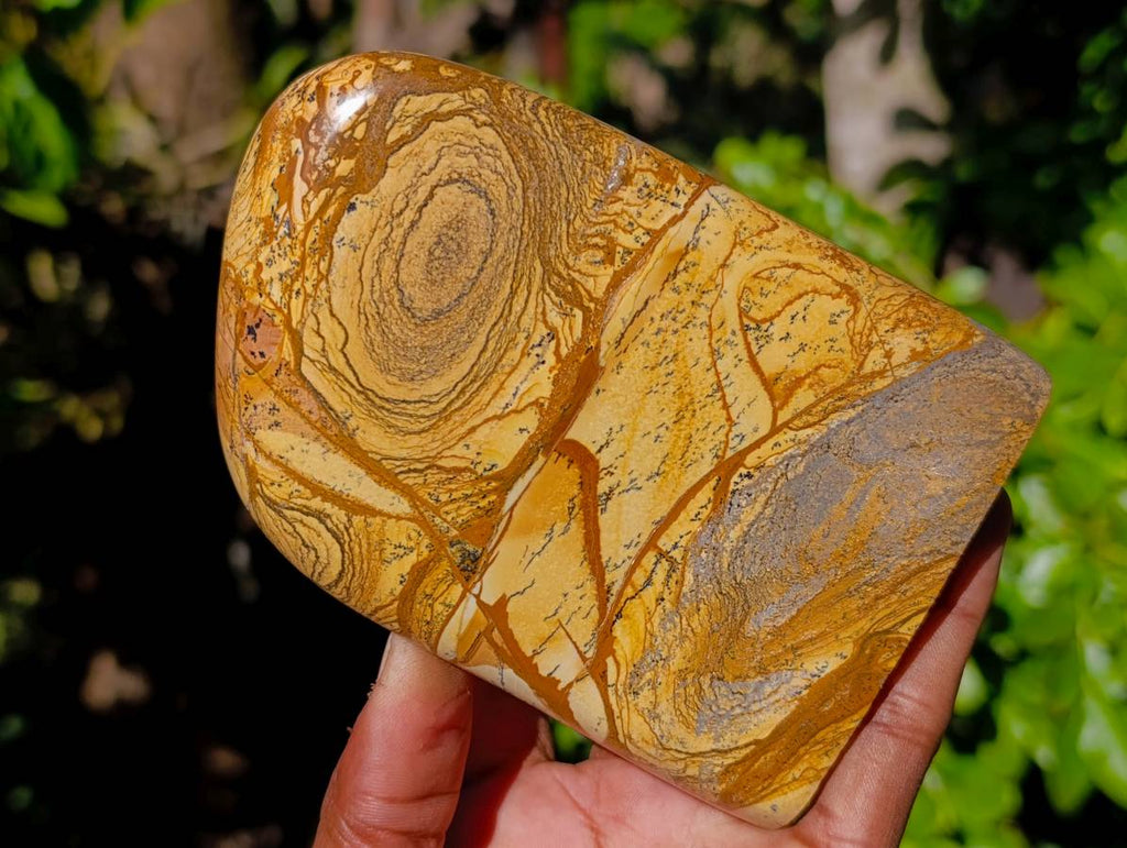 Polished Picture Stone Jasper Standing Free Forms x 2 From Ais-Ais, Namibia - Toprock Gemstones and Minerals 