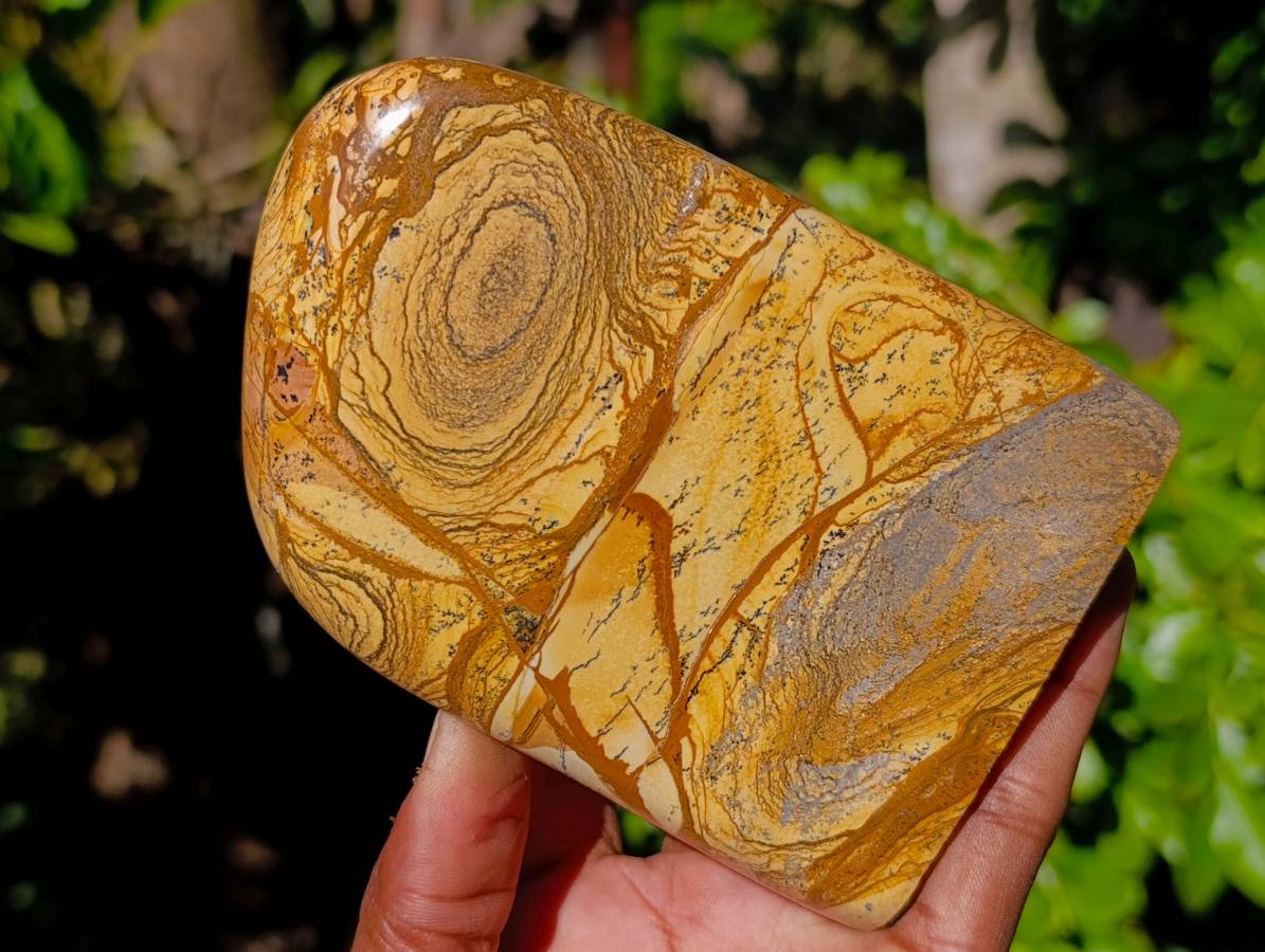 Polished Picture Stone Jasper Standing Free Forms x 2 From Ais-Ais, Namibia - Toprock Gemstones and Minerals 