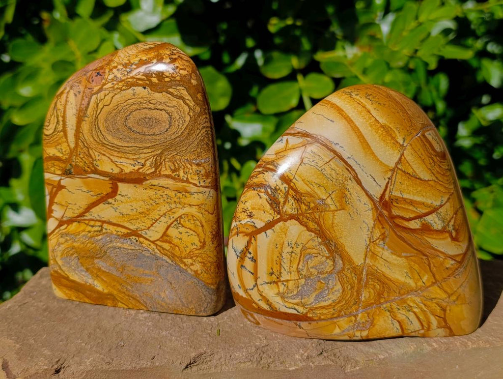 Polished Picture Stone Jasper Standing Free Forms x 2 From Ais-Ais, Namibia - Toprock Gemstones and Minerals 
