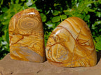 Polished Picture Stone Jasper Standing Free Forms x 2 From Ais-Ais, Namibia - Toprock Gemstones and Minerals 