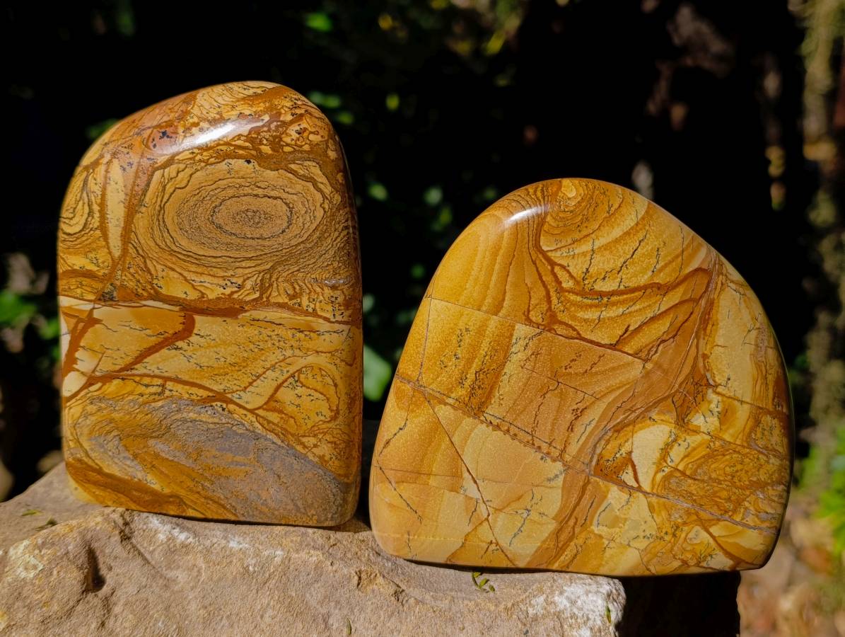 Polished Picture Stone Jasper Standing Free Forms x 2 From Ais-Ais, Namibia - Toprock Gemstones and Minerals 