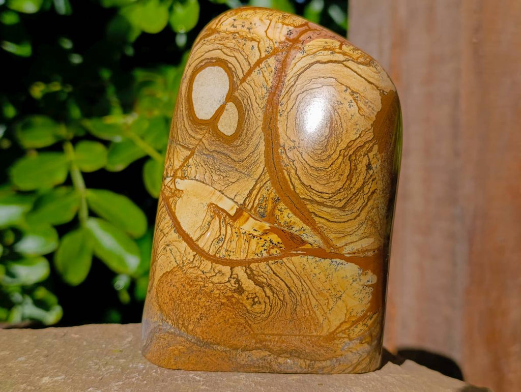 Polished Picture Stone Jasper Standing Free Forms x 2 From Ais-Ais, Namibia - Toprock Gemstones and Minerals 