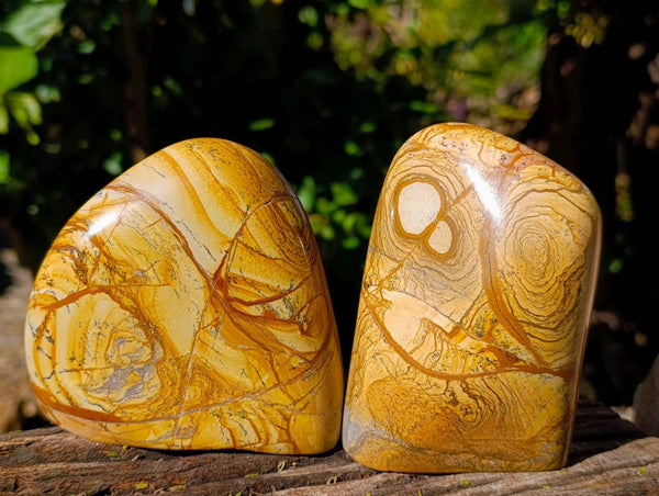 Polished Picture Stone Jasper Standing Free Forms x 2 From Ais-Ais, Namibia