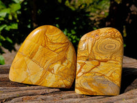 Polished Picture Stone Jasper Standing Free Forms x 2 From Ais-Ais, Namibia - Toprock Gemstones and Minerals 