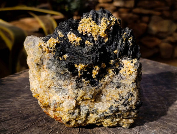 Natural Schorl Black Tourmaline Specimen x 1 From Namibia