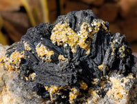 Natural Schorl Black Tourmaline Specimen x 1 From Namibia