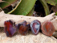 Polished On One Side Red Sashe River Agate Nodules x 20 From Zimbabwe - Toprock Gemstones and Minerals 