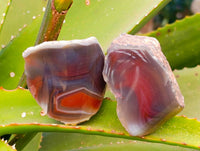 Polished On One Side Red Sashe River Agate Nodules x 20 From Zimbabwe - Toprock Gemstones and Minerals 