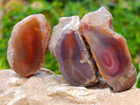 Polished On One Side Red Sashe River Agate Nodules x 20 From Zimbabwe - Toprock Gemstones and Minerals 