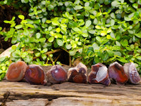 Polished On One Side Red Sashe River Agate Nodules x 20 From Zimbabwe - Toprock Gemstones and Minerals 