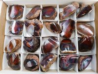 Polished On One Side Red Sashe River Agate Nodules x 20 From Zimbabwe - Toprock Gemstones and Minerals 