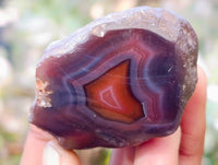 Polished On One Side Red Sashe River Agate Nodules x 20 From Zimbabwe - Toprock Gemstones and Minerals 