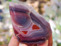 Polished On One Side Red Sashe River Agate Nodules x 20 From Zimbabwe - Toprock Gemstones and Minerals 