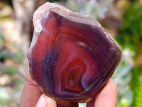 Polished On One Side Red Sashe River Agate Nodules x 20 From Zimbabwe - Toprock Gemstones and Minerals 