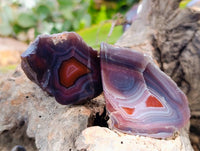 Polished On One Side Red Sashe River Agate Nodules x 20 From Zimbabwe - Toprock Gemstones and Minerals 