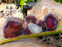 Polished On One Side Red Sashe River Agate Nodules x 20 From Zimbabwe - Toprock Gemstones and Minerals 