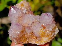 Natural Amethyst Spirit Quartz Clusters x 12 From Boekenhouthoek, South Africa