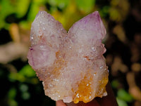 Natural Amethyst Spirit Quartz Clusters x 12 From Boekenhouthoek, South Africa