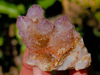 Natural Amethyst Spirit Quartz Clusters x 12 From Boekenhouthoek, South Africa